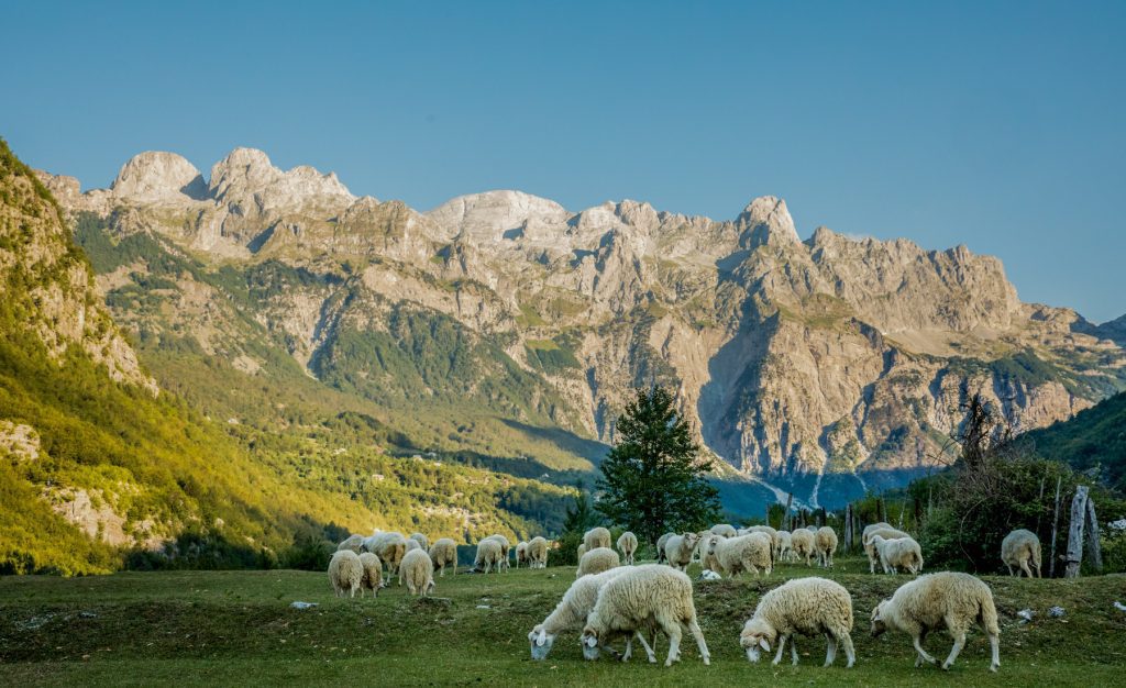 Trek Peaks of the Balkans 2022