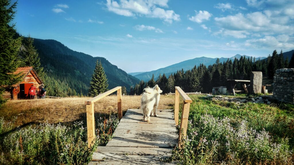 Lojza guest house Milishevc